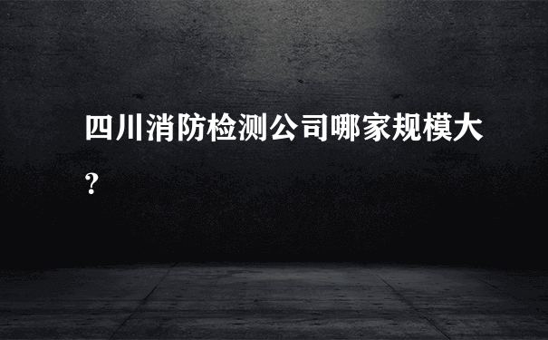 四川消防检测公司哪家规模大？