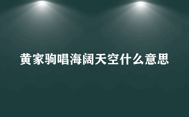 黄家驹唱海阔天空什么意思