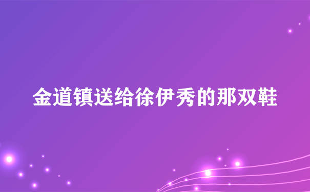 金道镇送给徐伊秀的那双鞋