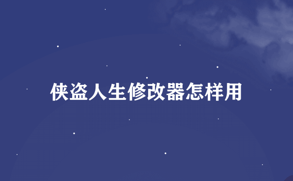 侠盗人生修改器怎样用