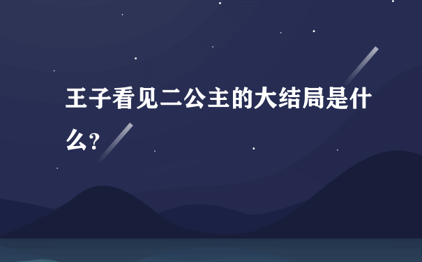 王子看见二公主的大结局是什么？