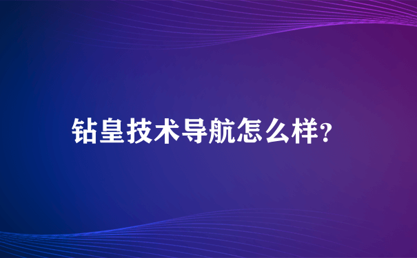 钻皇技术导航怎么样？