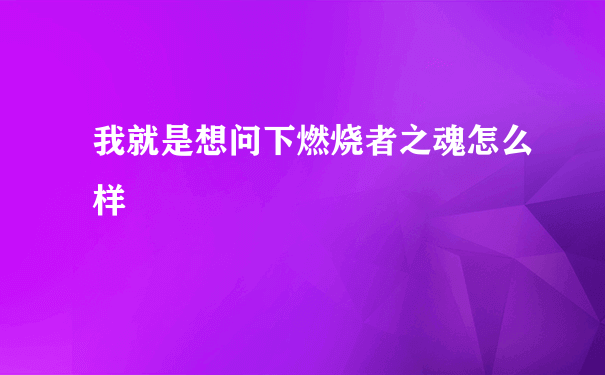 我就是想问下燃烧者之魂怎么样