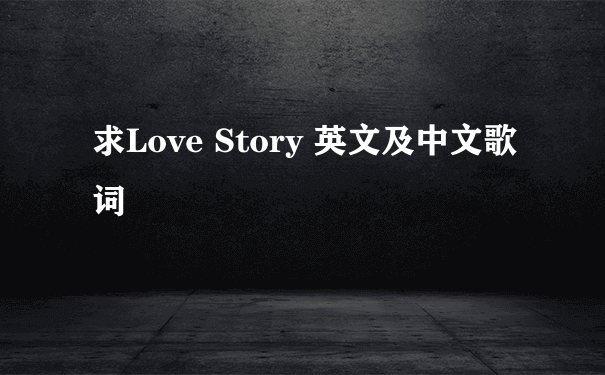 求Love Story 英文及中文歌词