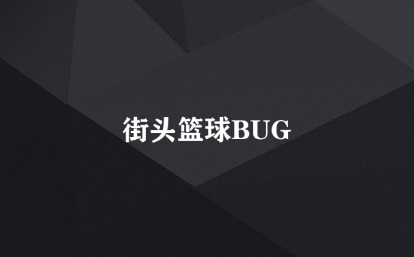 街头篮球BUG