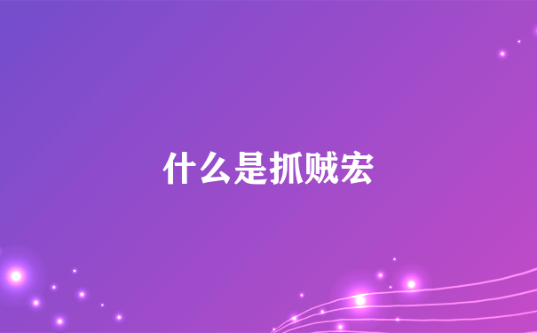 什么是抓贼宏