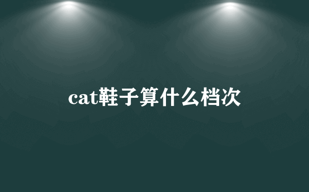 cat鞋子算什么档次