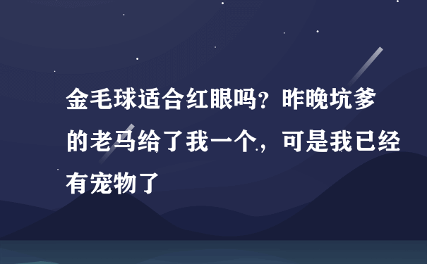 金毛球适合红眼吗？昨晚坑爹的老马给了我一个，可是我已经有宠物了