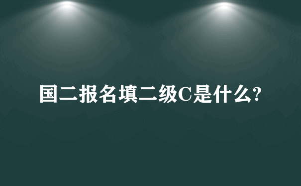 国二报名填二级C是什么?