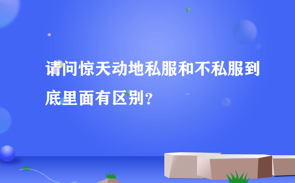 请问惊天动地私服和不私服到底里面有区别？