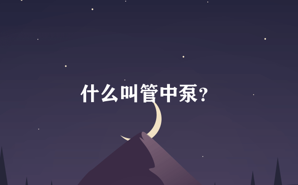 什么叫管中泵？