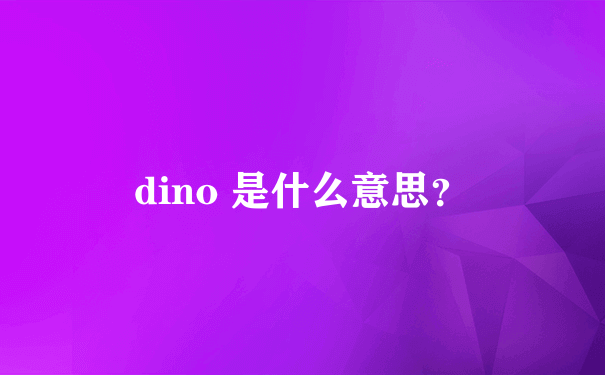 dino 是什么意思？