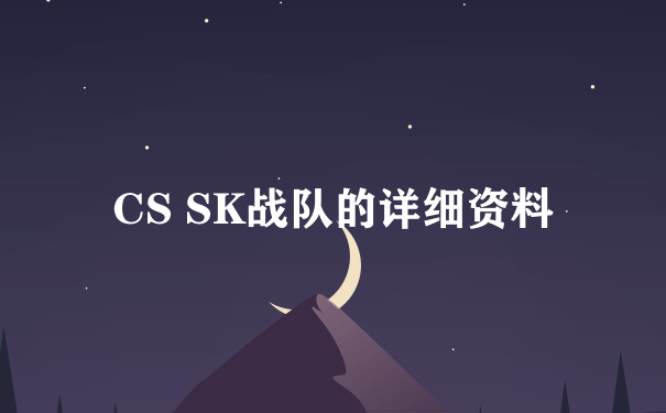 CS SK战队的详细资料