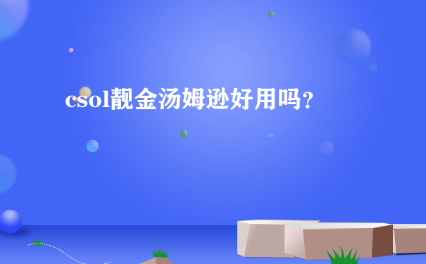 csol靓金汤姆逊好用吗？