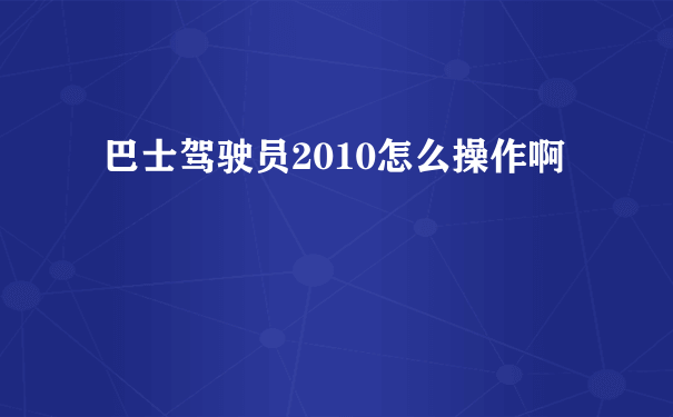 巴士驾驶员2010怎么操作啊