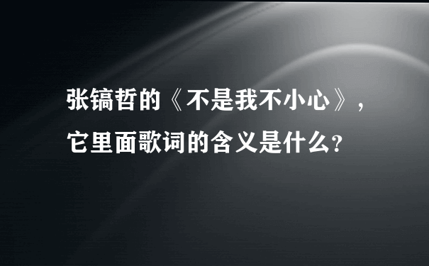 张镐哲的《不是我不小心》，它里面歌词的含义是什么？