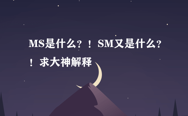 MS是什么？！SM又是什么？！求大神解释