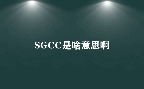 SGCC是啥意思啊