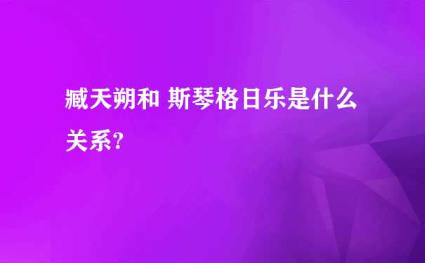 臧天朔和 斯琴格日乐是什么关系?