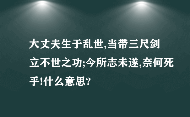 大丈夫生于乱世,当带三尺剑立不世之功;今所志未遂,奈何死乎!什么意思?