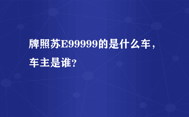 牌照苏E99999的是什么车，车主是谁？