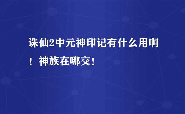 诛仙2中元神印记有什么用啊！神族在哪交！