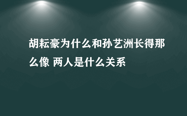 胡耘豪为什么和孙艺洲长得那么像 两人是什么关系