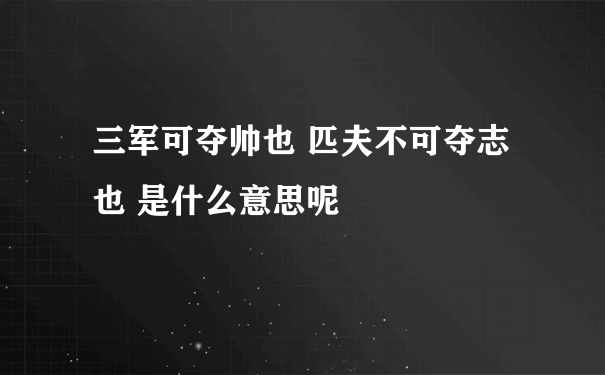 三军可夺帅也 匹夫不可夺志也 是什么意思呢