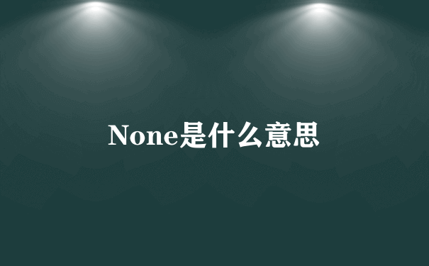 None是什么意思