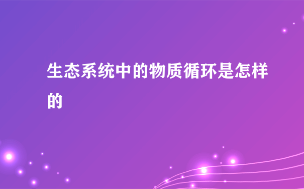 生态系统中的物质循环是怎样的