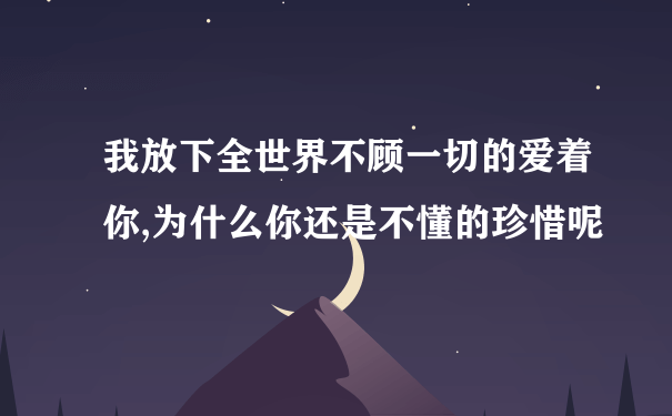 我放下全世界不顾一切的爱着你,为什么你还是不懂的珍惜呢