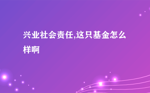 兴业社会责任,这只基金怎么样啊