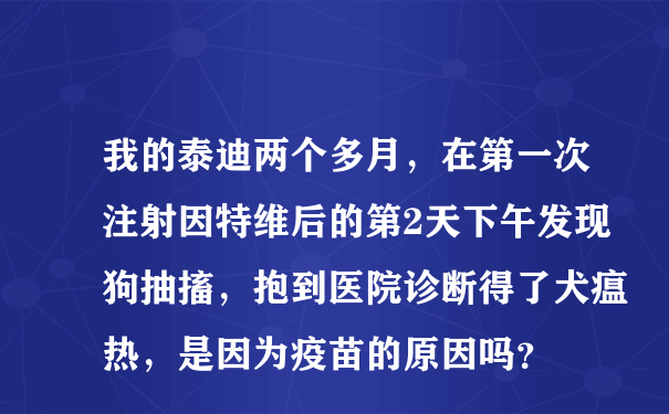 我的泰迪两个多月，在第一次注射因特维后的第2天下午发现狗抽搐，抱到医院诊断得了犬瘟热，是因为疫苗的原因吗？