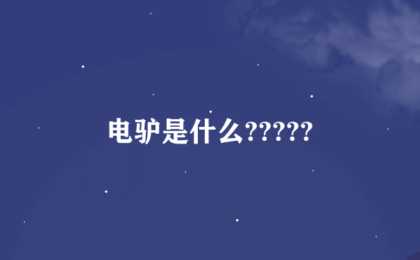 电驴是什么?????