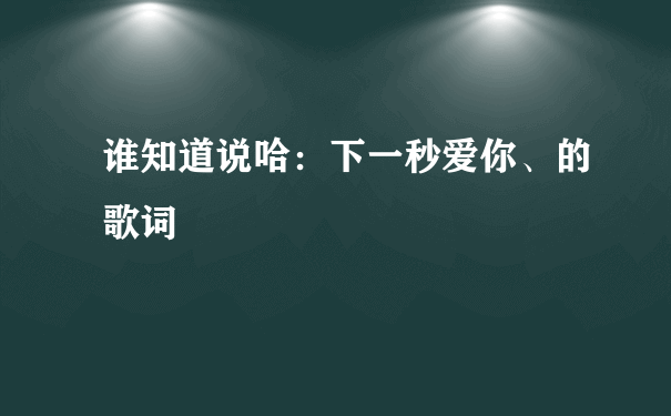 谁知道说哈：下一秒爱你、的歌词