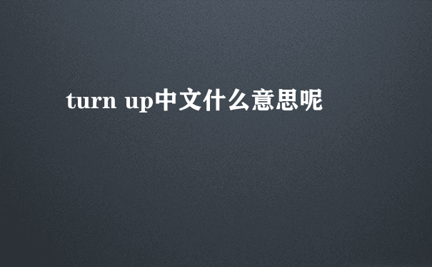 turn up中文什么意思呢