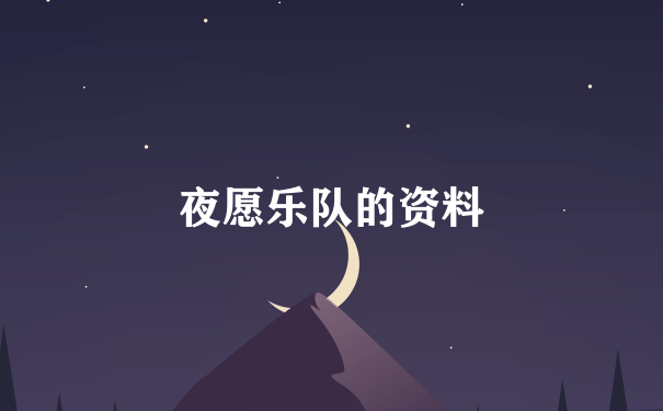 夜愿乐队的资料