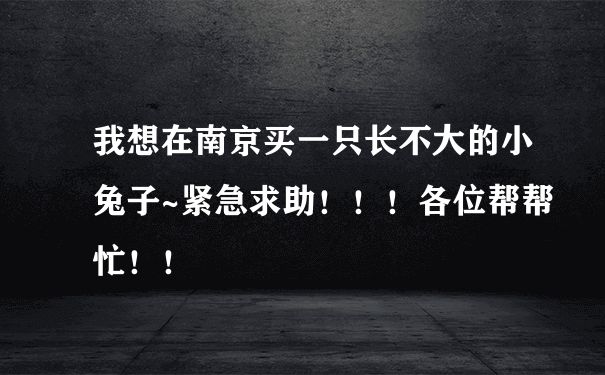 我想在南京买一只长不大的小兔子~紧急求助！！！各位帮帮忙！！