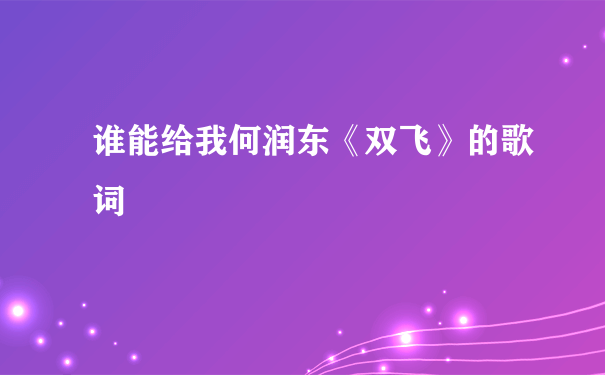 谁能给我何润东《双飞》的歌词