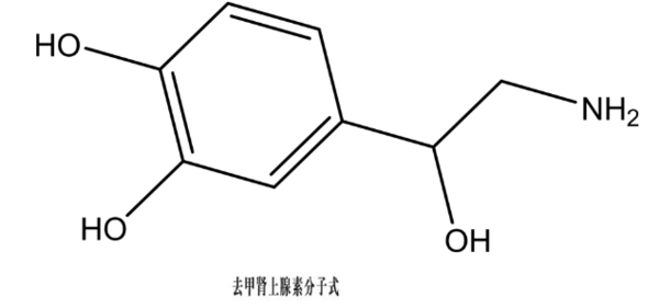 医学上的NE是什么意思？