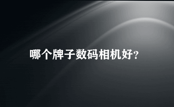 哪个牌子数码相机好？