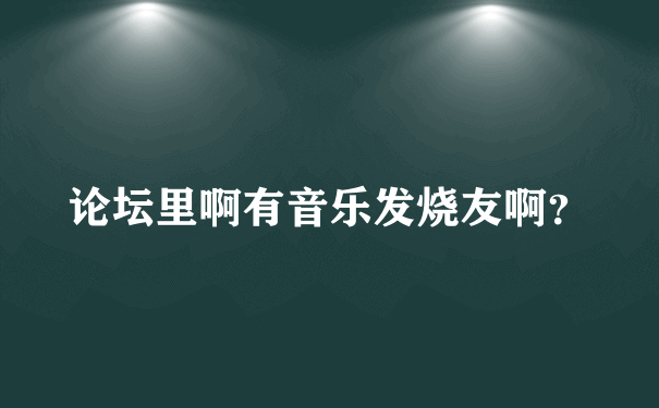 论坛里啊有音乐发烧友啊？