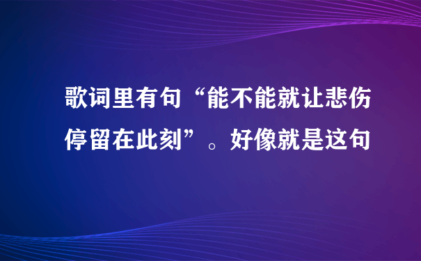 歌词里有句“能不能就让悲伤停留在此刻”。好像就是这句