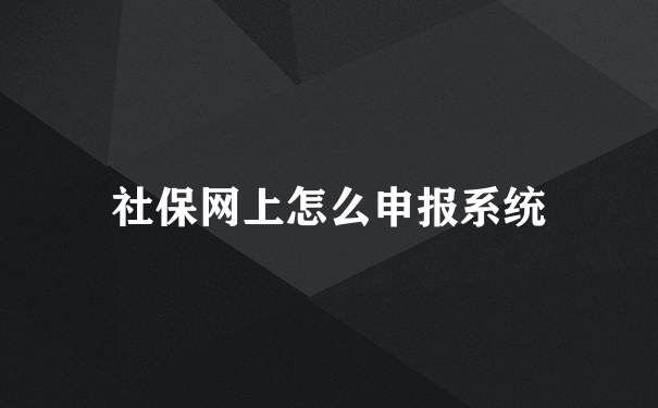 社保网上怎么申报系统