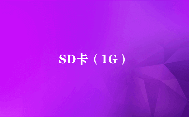 SD卡（1G）