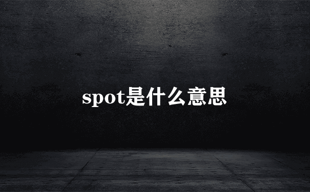 spot是什么意思