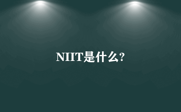 NIIT是什么?