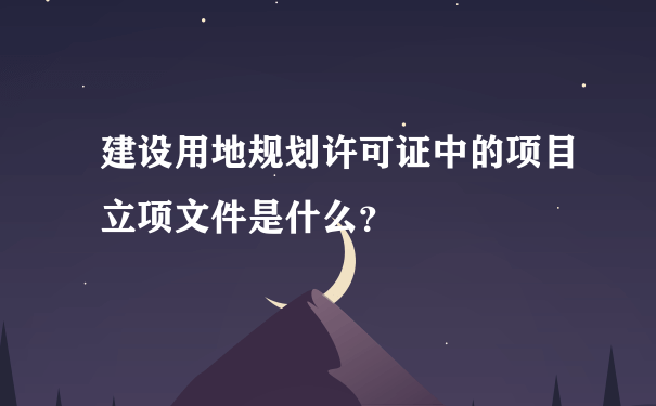 建设用地规划许可证中的项目立项文件是什么？