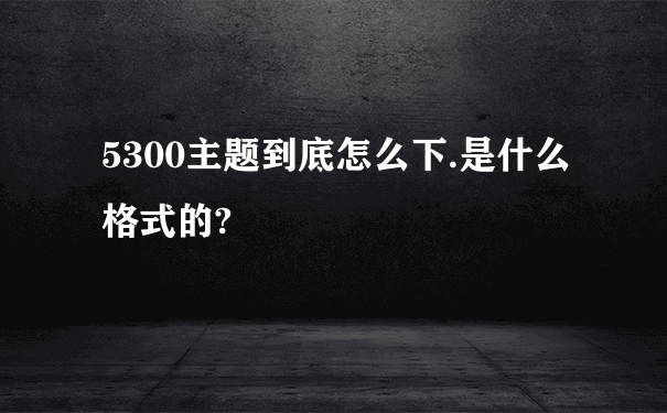 5300主题到底怎么下.是什么格式的?