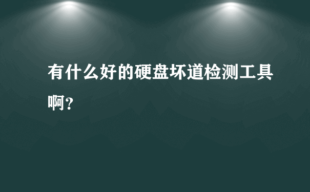 有什么好的硬盘坏道检测工具啊？